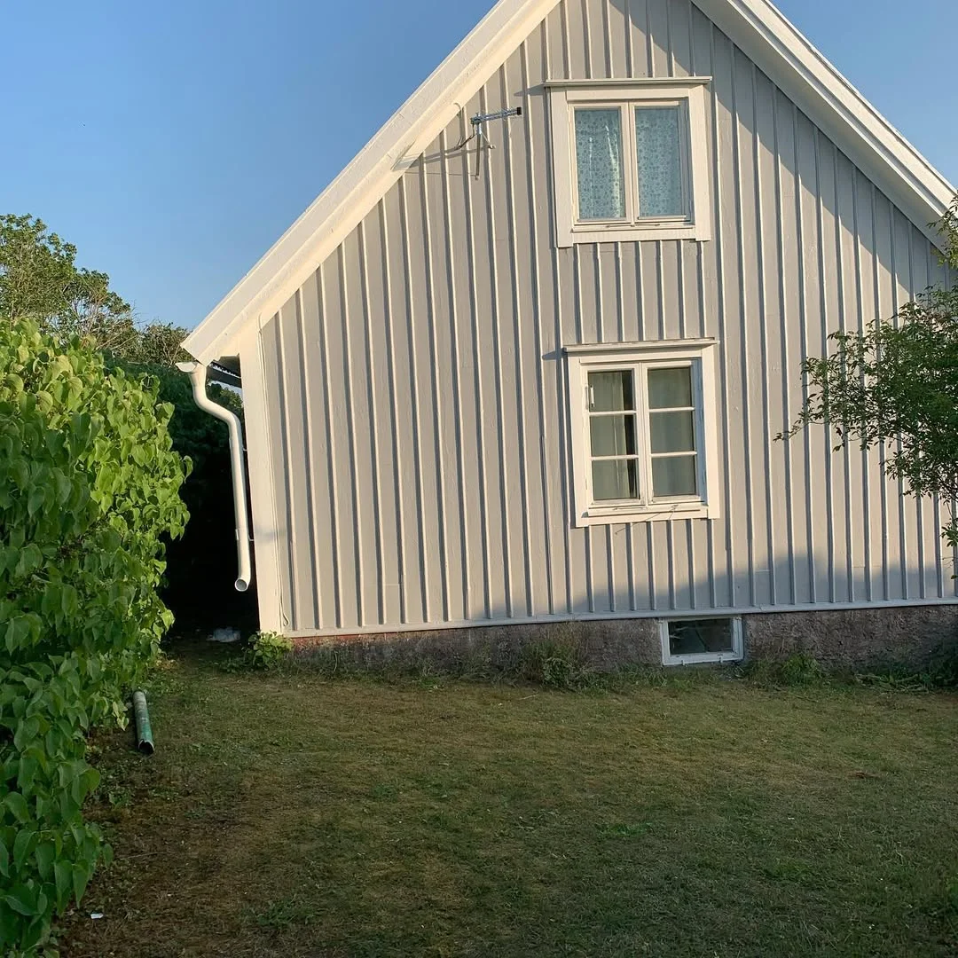 Professionell målning